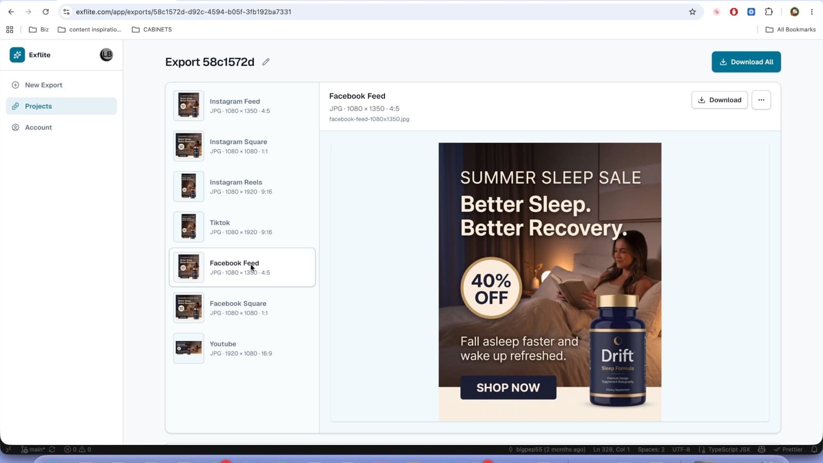 Exflite export review showing a placement-ready campaign asset